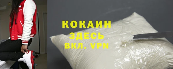 PSILOCYBIN Белокуриха