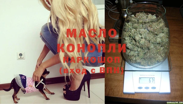 PSILOCYBIN Белокуриха