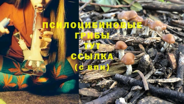 твердый Беломорск