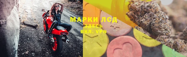 PSILOCYBIN Белокуриха