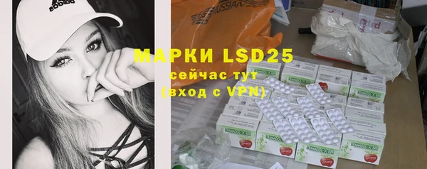 PSILOCYBIN Белокуриха