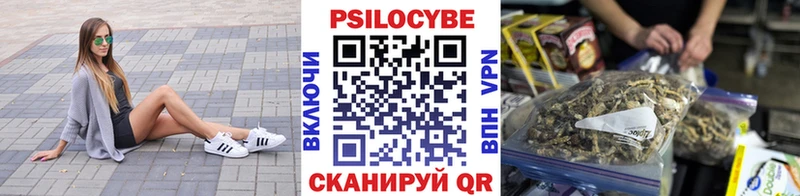 где можно купить наркотик  Светлогорск  Псилоцибиновые грибы Psilocybine cubensis 