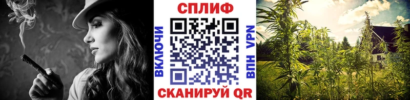 Шишки марихуана гибрид  Светлогорск 